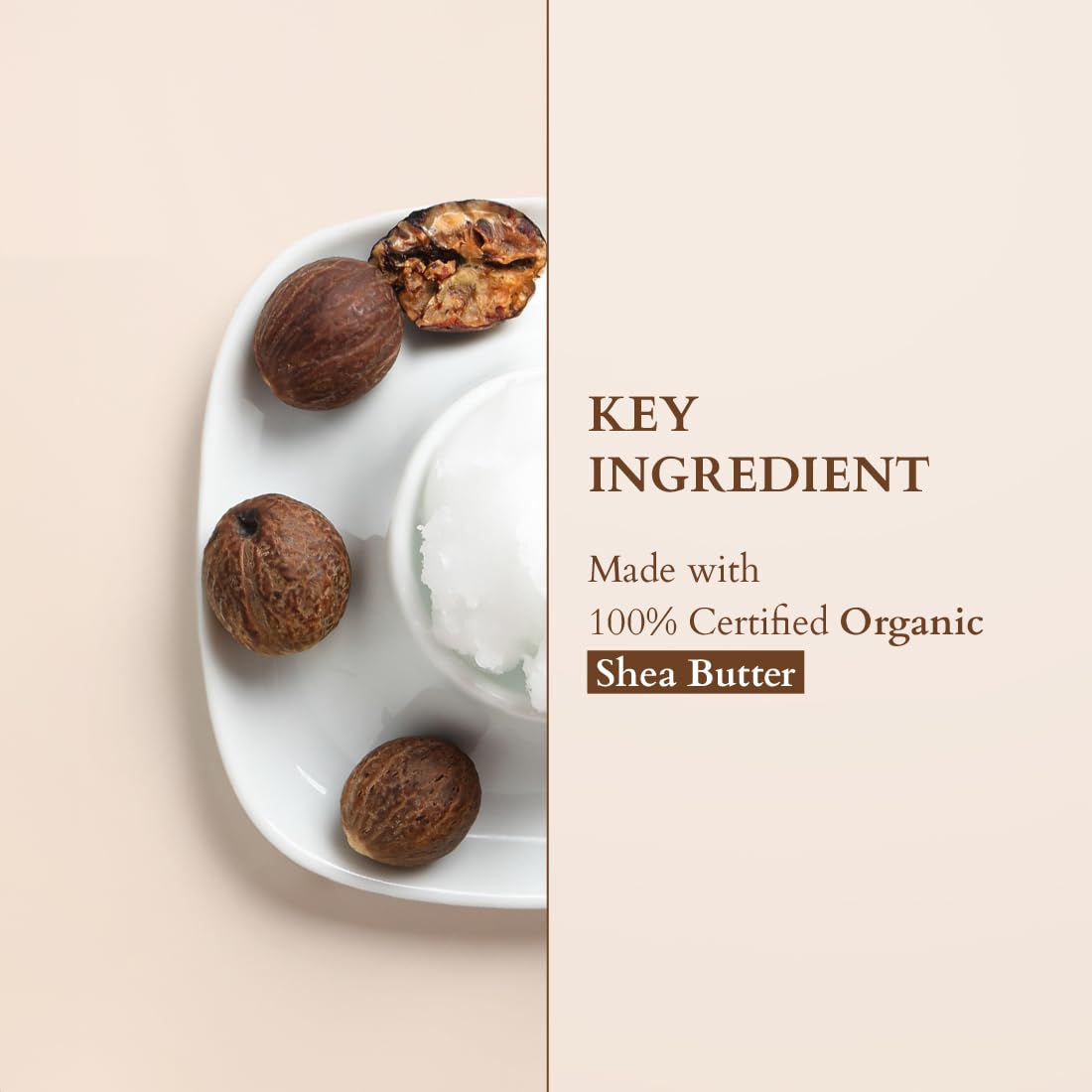 Lotus Organics+ Shea Luxe Tinted Moisturizer | 100% Certified Organic Shea Butter | Full Coverage | Provides Lasting Hydration | SPF 15