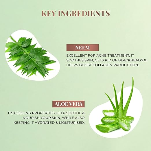 Just Hearbs Foaming Face Wash | Neem & Aloe Vera | Removes Dirt & Dead Skin Cells | 100 ml