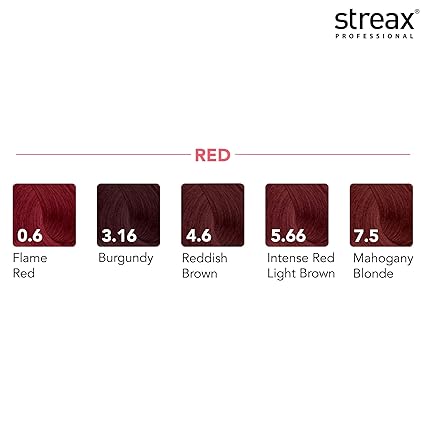 Streax Professional Argan Secrets Hair Colourant Cream - Burgundy 3.16 (60gm)