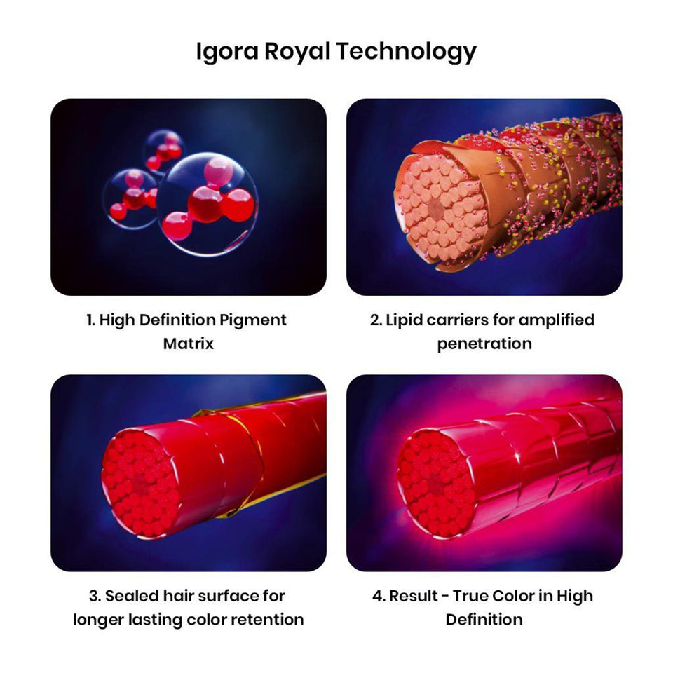 Schwarzkopf Professional Igora Royal Permanent Color Creme (60ml) Igora 6-99 Dark Blonde Violet Extra Asian Formula