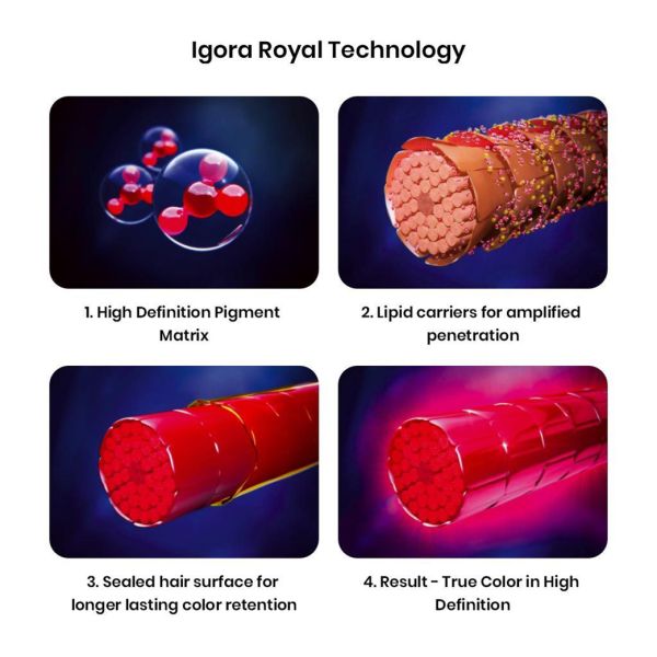 Schwarzkopf Professional Igora Royal Permanent Color Creme (7-65 Medium Blonde Chocolate Gold) (60 ml)