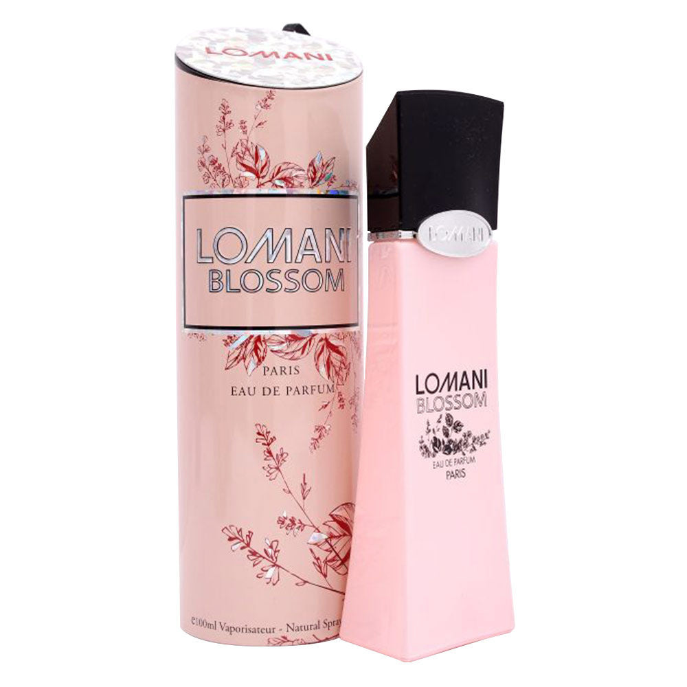 Lomani parfum discount