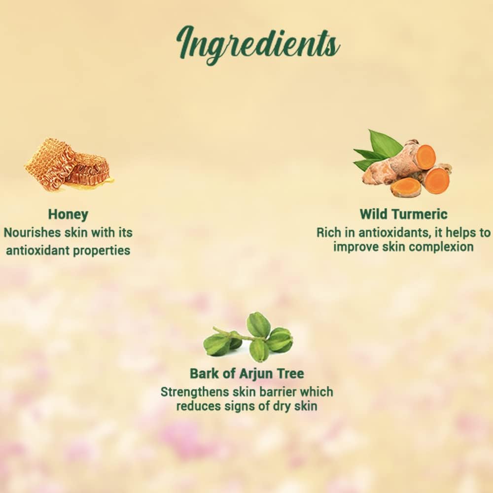 Biotique Honey Gel Soothe & Nourish Foaming Face wash, Soap Free Formula, Reduce Dryness, 100% Botanical Extracts, 150ml