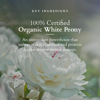 Lotus Organics+ Lotus organic + Precious Brightening Under Eye Cream | 100% Organic White Peony | Sulphate & Paraben Free 15g
