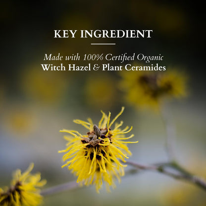 Lotus Organics+ Sensitive Skin Gentle Face Wash for Women & Men | 100% Certified Organic Witch Hazel & Plant Ceramides | Soothes Sensitive Skin | Protects Skin Barrier 80gm