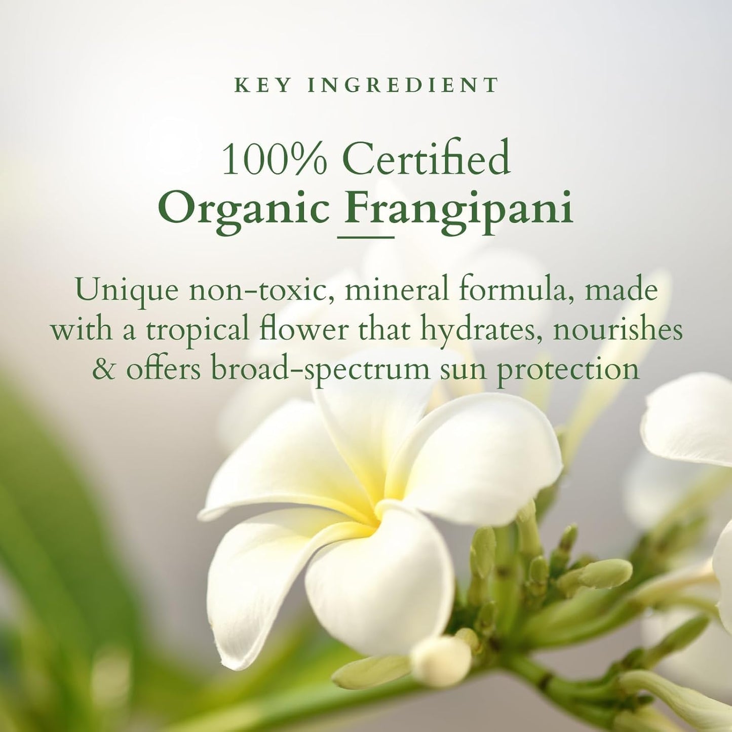 Lotus Organics+ Hydrating Gel Mineral Sunscreen SPF 30 PA+++ - 100% Chemical Free, Certified Organic Actives (100gm)