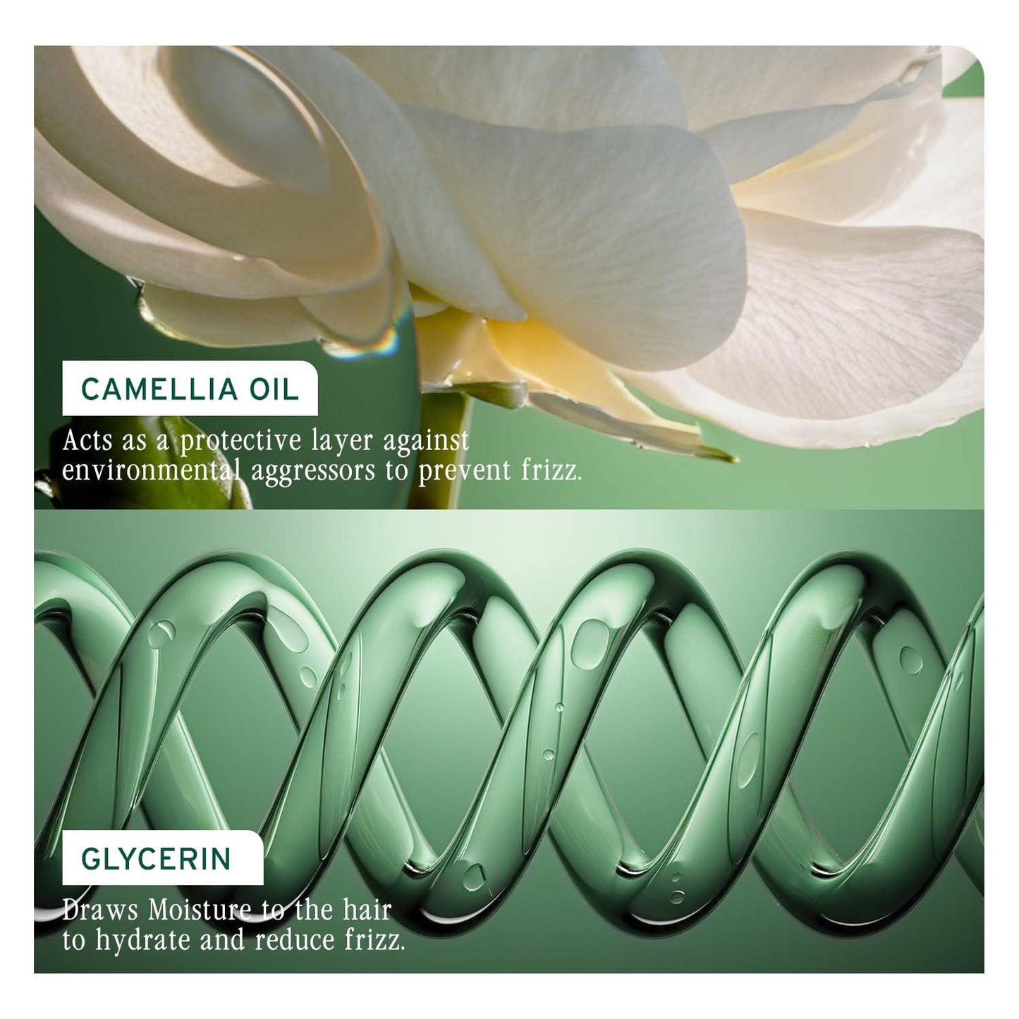 Biolage Smoothproof Shampoo For Frizzy Hair | Cleanses, Smooths & Controls Frizz | With Camellia Flower 200ml