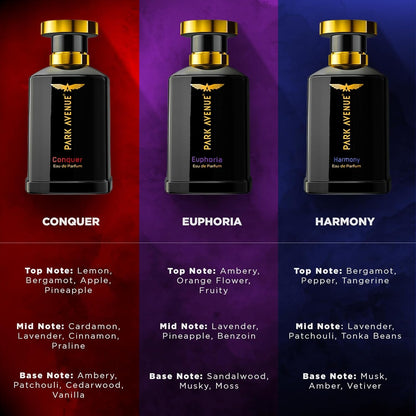 Park Avenue Euphoria, Eau De Parfum Men, 50Ml Long Lasting Liquid Perfume For Men Premium Luxury Fragrance Scent Aromatic Blend Of Amber & Musk