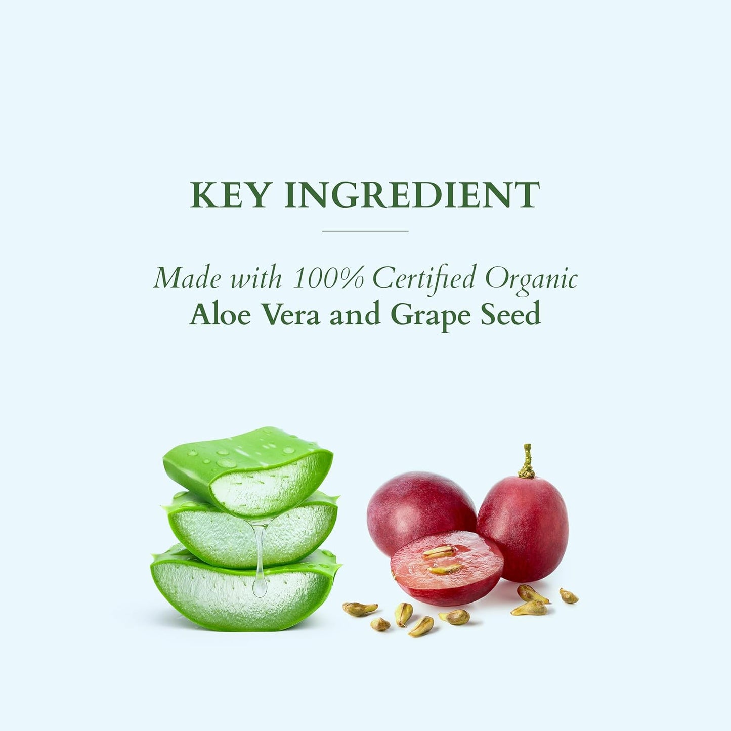 Lotus Organics+ Hydra Clean & Nourish Face Wash for Women & Men | 100% Certified Organic Aloe Vera & Grape Seed | Provides All-day Hydration | Prevents Dryness 80gm