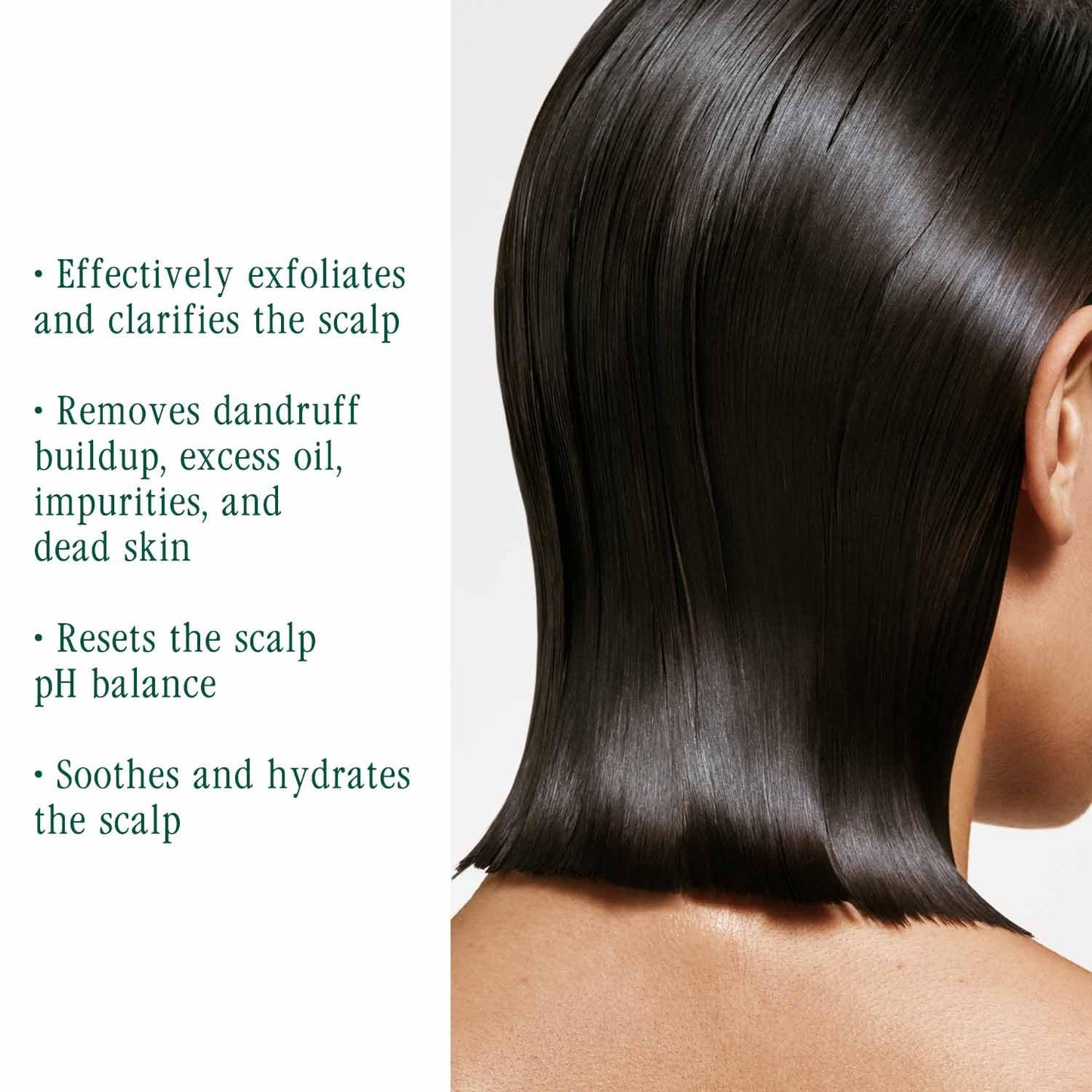 Matrix Biolage Scalp Sync Purifying Concentrate - Exfoliating & Clarifying Dry Scalp Treatment, Refreshing & Reinvigorating, Fermented Tea Blend & Glycolic Acid, 200ml
