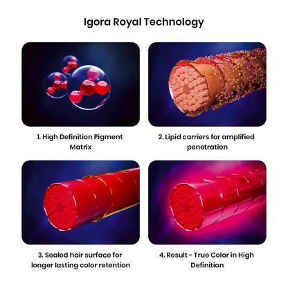 Schwarzkopf Professional Igora Royal Permanent Color Creme (60ml) Igora 6-99 Dark Blonde Violet Extra Asian Formula